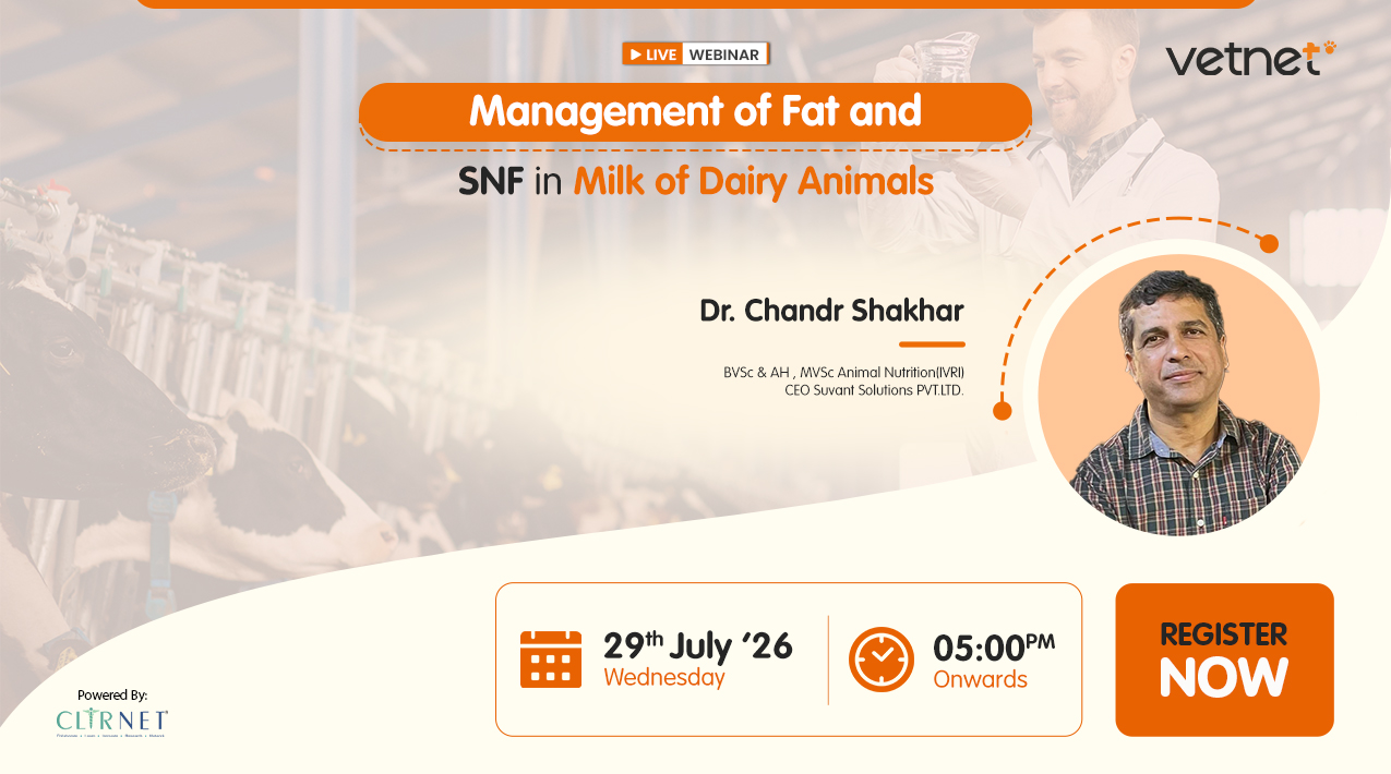 Management of Fat and SNF in Milk of Dairy Animals